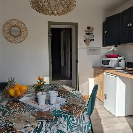 Le Jardin Secret, Vue Sur Le Chateau & Parking Apartamento Foix