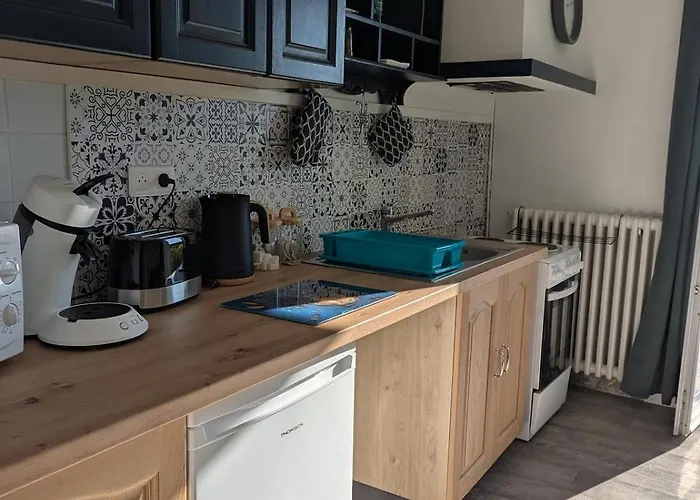 Le Jardin Secret, Vue Sur Le Chateau & Parking Apartment Foix